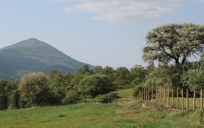 Montagna Cetona